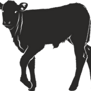 Taney County Veterinary Service - Logo