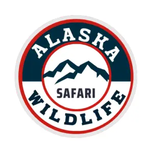 Ketchikan Alaska Wildlife Safari Tour - Sightseeing tour agency in Ketchikan