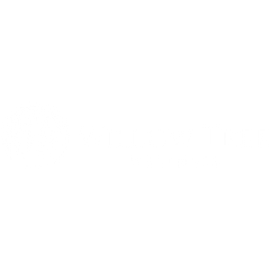 Willow Tree Wellness