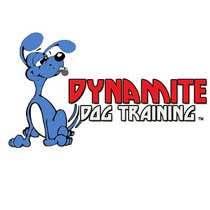 Dynamite Dog Training - Logo