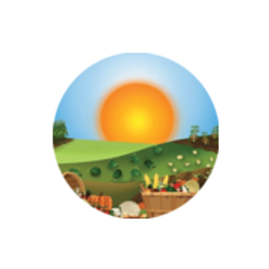 Windy Acres Farm
