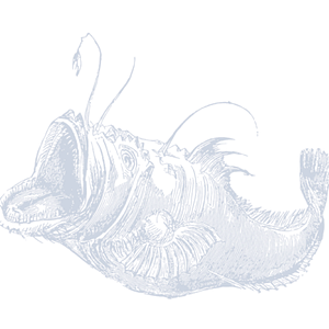 Crazy Banana Charter - Logo