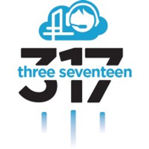 317 Virtual Services, LLC