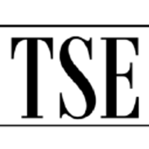 TSE Chartered Professional Accountants - Logo