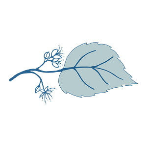 Blue Linden Weddings & Events - Logo