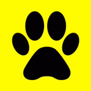Lone Star Dog Training and Care