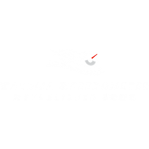 Tacoma Speedometer