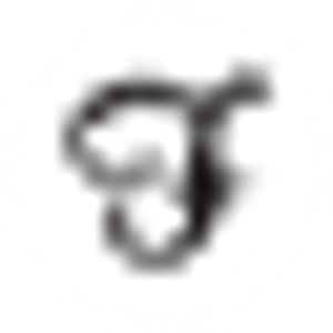 Floors of Distinction LLC - Logo