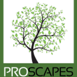 ProScapes, LLC