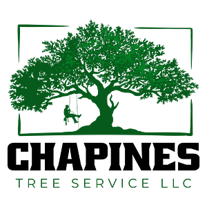 Chapines Tree Service
