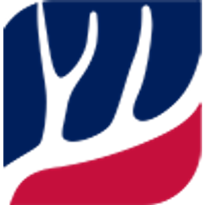 4 Point Electric - Logo