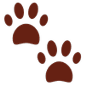 Little Paws Pet Resort