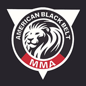 Lights Out Boxing NY - Logo