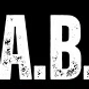 A.B. Martial Arts Academy - Logo