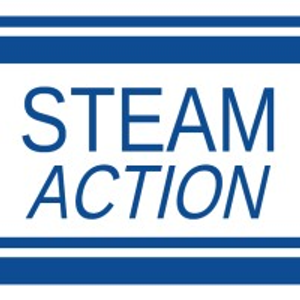 Steam Action Carpet & Upholstery Cleaning - Logo