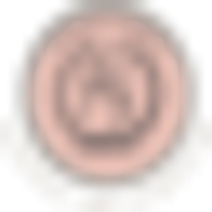 Fischer-Gambino - Logo