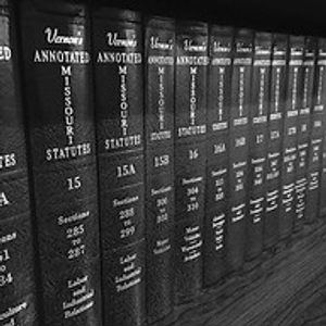 Schenewerk & Associates, Attorneys at Law, LLC - Logo