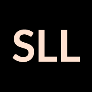 Skin & Lash Lounge - Logo