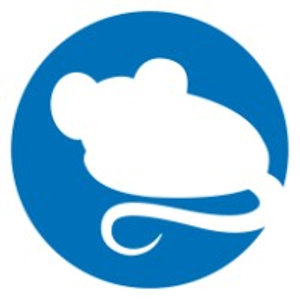Mouse Graphics - Logo