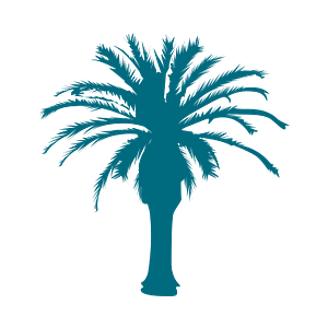 Morgan Fann - Carolina Life Real Estate & Auctions - Logo