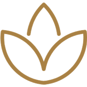 Revive Head Spa - Logo