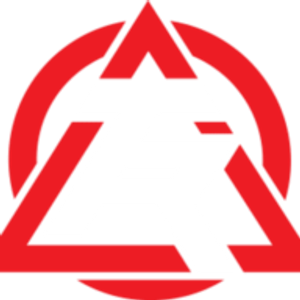 Tiger-Rock Martial Arts - Logo