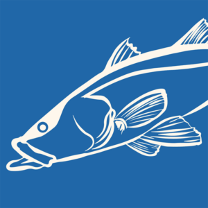 Inshore Fishing Adventures