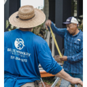 Blue Monkey Roofing - Logo