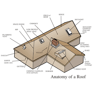 Roofing Dunedin