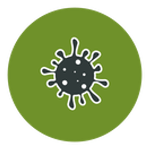 GerMadic Pest + Termites