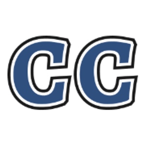 Copper Canyon Painting LLC - Logo