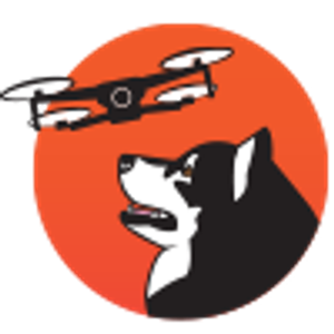 Big Dog Drone Services - Logo