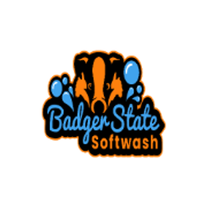 Badger State Soft Washing