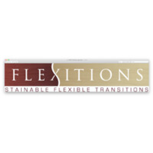 Flexitions - Logo