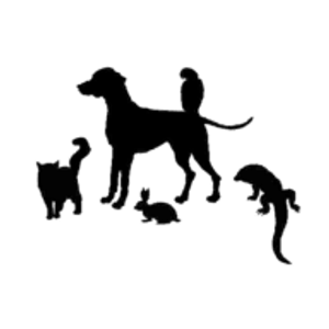All Pets Veterinary Center - Logo