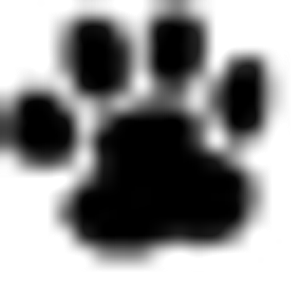 Stanton Animal Hospital