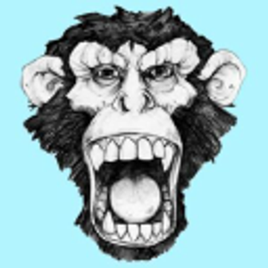 Tint Monkey