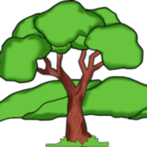 MGA Tree Services | Affordable Price