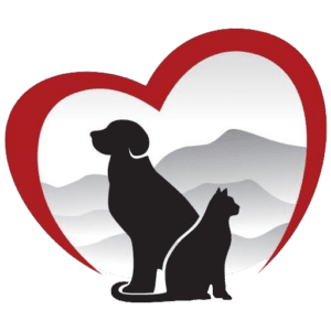 Forever Love Rescue at the Kitty Corner