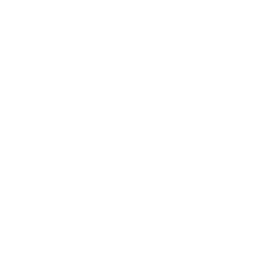 Hanson Capital Homes - Logo