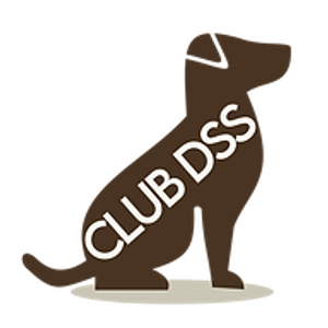 Club DSS - Logo
