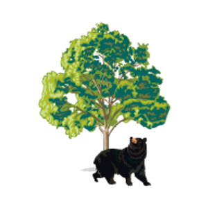 Bears Tree Service - Logo