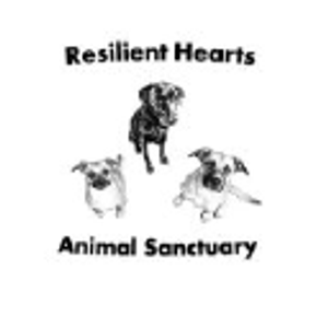 Resilient Hearts Animal Sanctuary - Logo