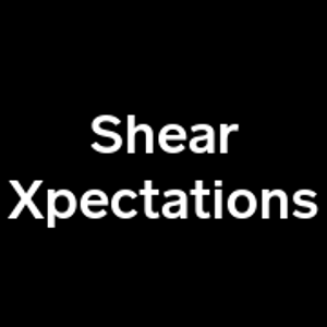 Shear Xpectations Salon - Logo