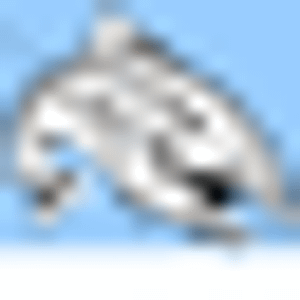 Woody's Guide Service - Logo