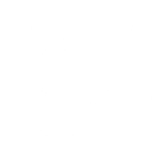 Mastery Studio LLC - Logo