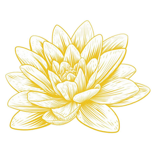 Lotus Home Wellness Center & Spa