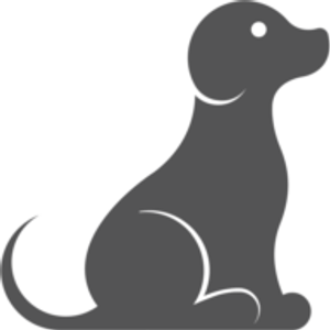 Austin Dog Manners