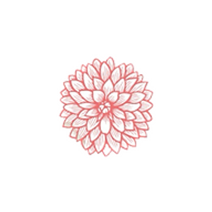 Bloom Skin Spa - Logo