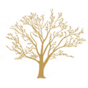 Black Walnut Construction, LLC